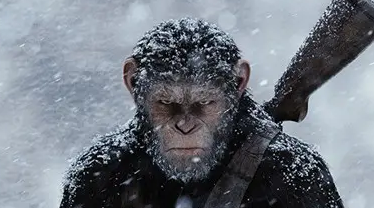 影视接口源第二季-春眠不觉晓